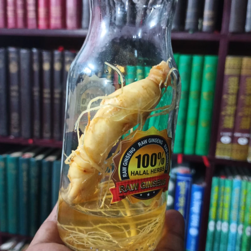 Pinak Jinsing